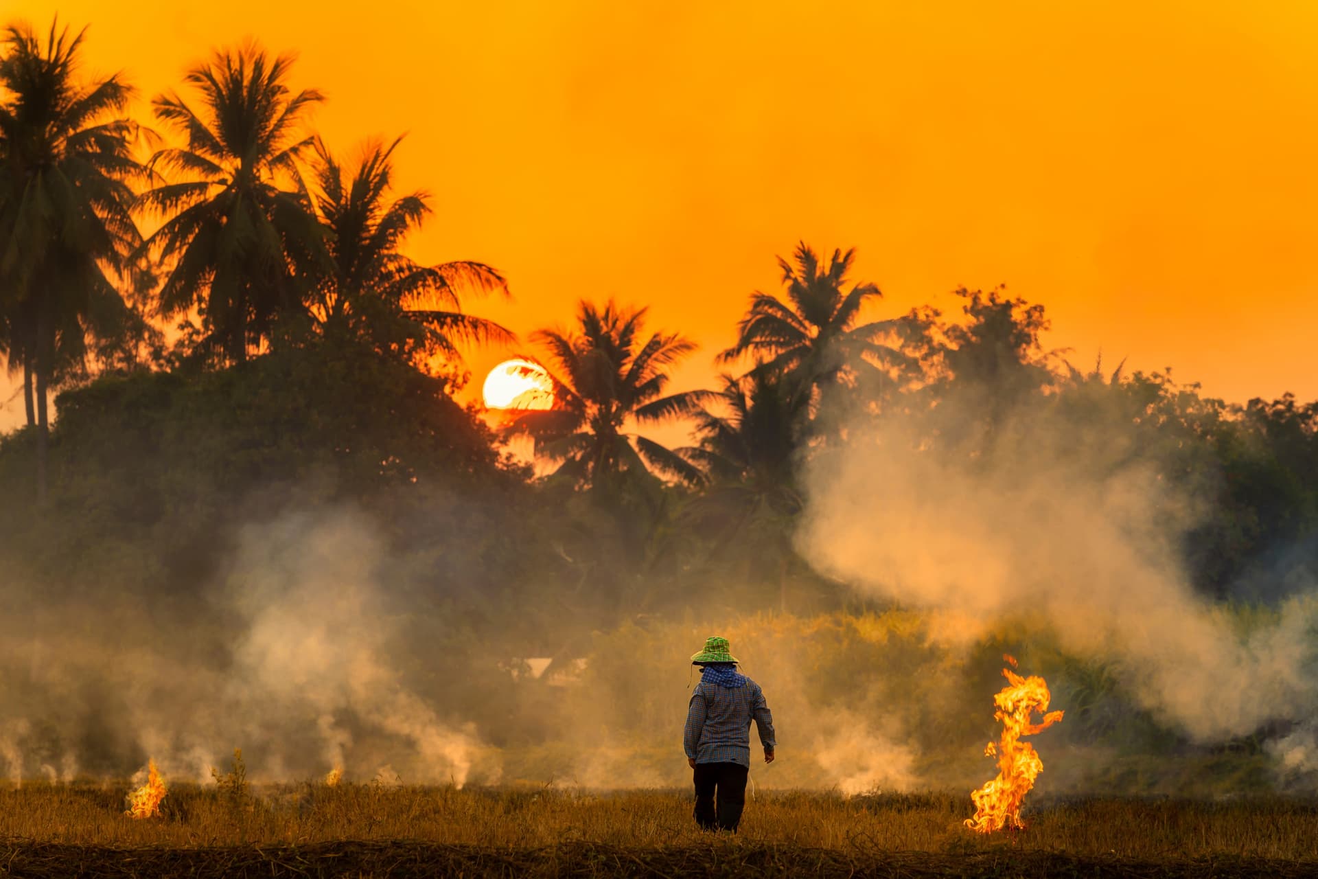 Saison des brûlis en Thaïlande : quand a-t-elle lieu et que faire pour l’éviter ?